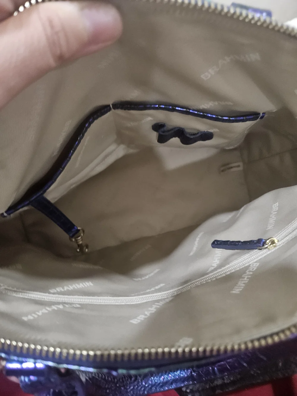 Brahmin stylish iridescent